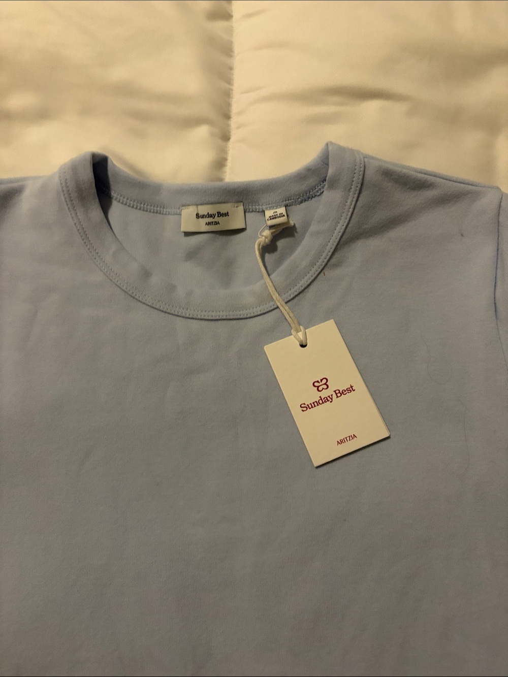 Aritzia Sunday Best Light Blue Crewneck Tee